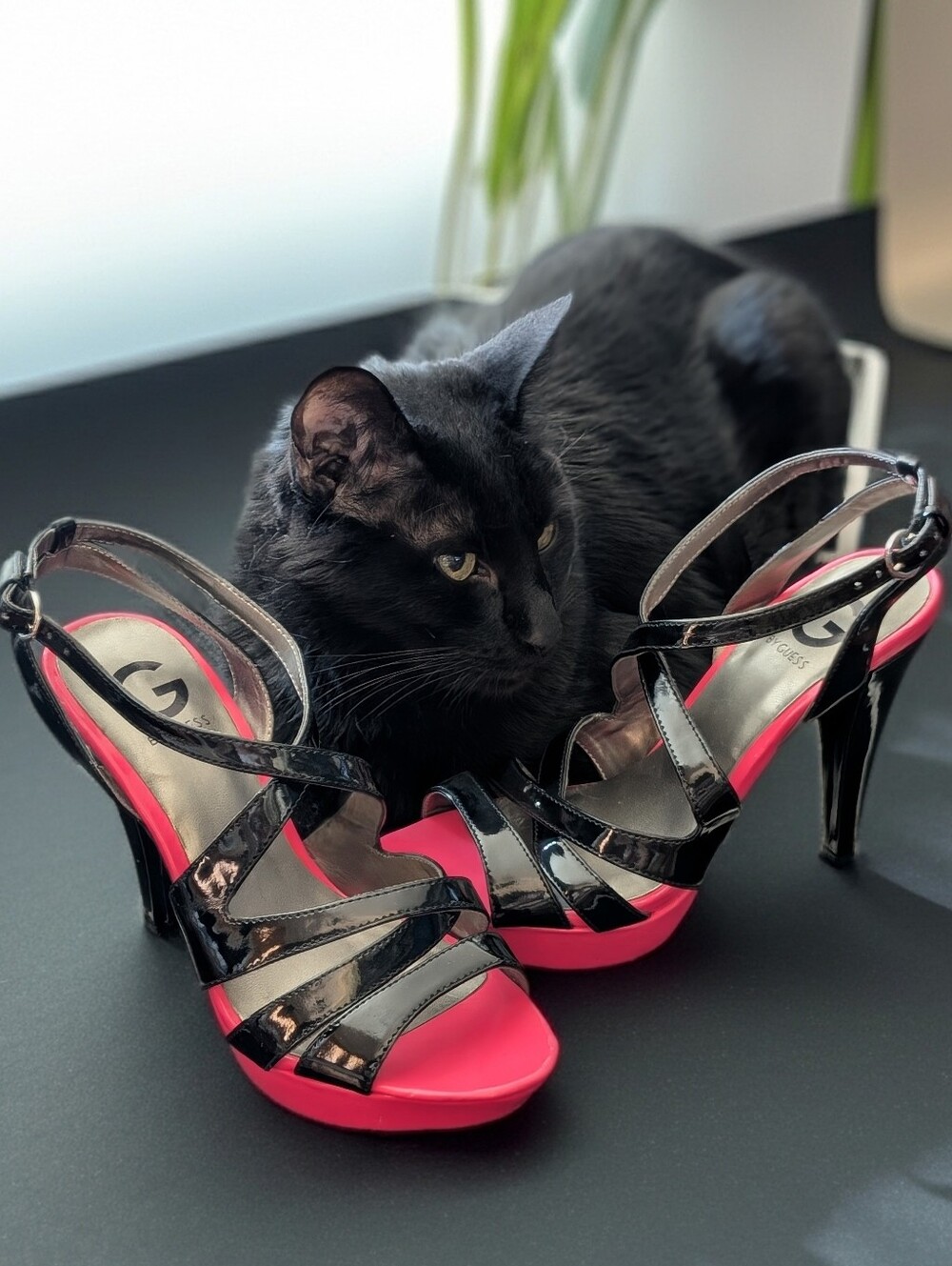 NWOT G by Guess "Habanera" Black Patent and Hot Pink Platform Heels Sz 8